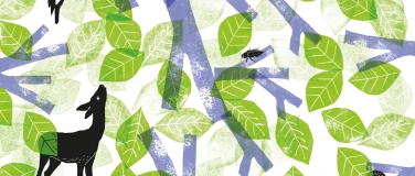 Event-Image for 'Exposition Qui vit l&agrave; ? Le h&ecirc;tre, un arbre-habitat'