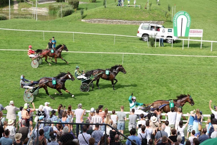 ARV Pferderennen 2025, 4. Renntag (GP der Schweiz) Pferderennbahn Schachen, Schwimmbadstrasse 18, 5000 Aarau Billets