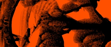 Event-Image for 'Im freien Fall – Camerata Variabile'