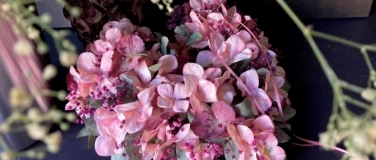 Event-Image for 'Hortensientraum'