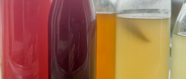 Event-Image for 'Workshop Probiotische Getr&auml;nke - Kombucha Wasserkefir und Co'