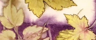 Event-Image for 'Ecoprint auf Papier - im Pflanzenfarbtopf gekocht'