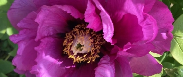 Event-Image for 'Neujahrsp&eacute;ro mit Stadtratskandidat Stefan Kessler und G&auml;sten'