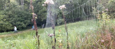 Event-Image for 'Im Einsatz für die Natur im Biotop Bösmösli'