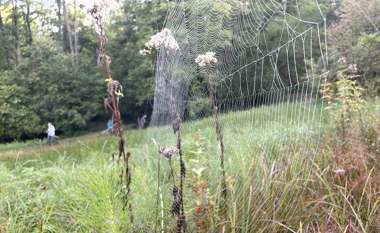 Im Einsatz für die Natur im Biotop Bösmösli Naturschutzgebiet Bösmösli, Solistrasse 220, 8180 Bülach Billets