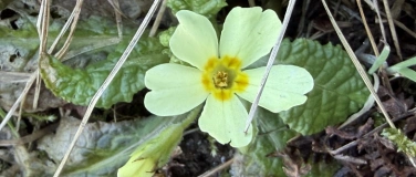 Event-Image for 'FRAUEN MACHT HORMONE'