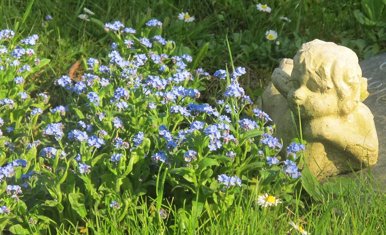 Event-Image for 'Fahrdienst zum Friedhof Guggenb&uuml;hl Freitag 13:30 Uhr'