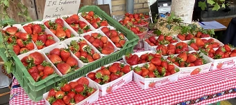 Event organiser of Regionaler Dorf-M&auml;rt auf dem Kreuzplatz Knutwil