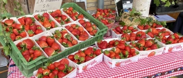 Event-Image for 'Regionaler Dorf-M&auml;rt auf dem Kreuzplatz Knutwil'