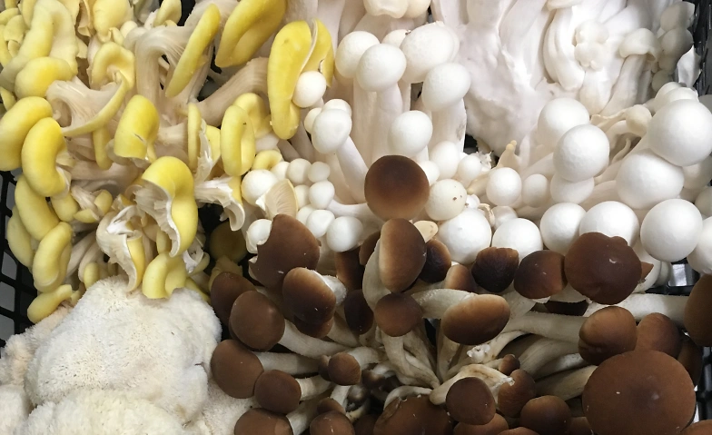 EDELPILZ DINNER Industrial Style ‍ EINMALIG Tickets