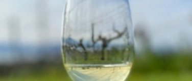 Event-Image for 'SYSTEMATIC WINE TASTING WORKSHOP'