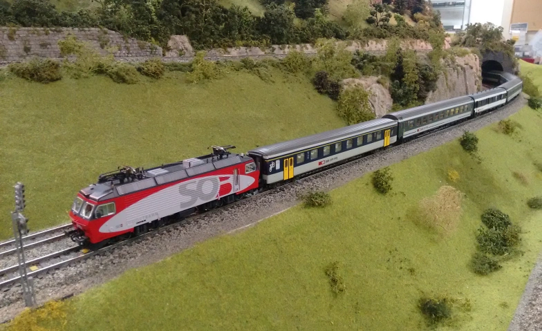 Modellbahn-Ausstellung der Winterthurer Eisenbahn Amateuren Tickets