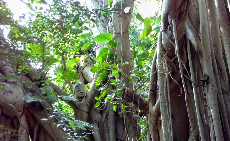 Stressbewältigung - MBSR 8-Wochenkurs
