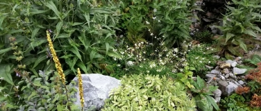 Event-Image for 'Schätze aus deinem Garten'