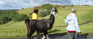 Event-Image for 'Lama-Park-Wanderung zwischen den Jahren'