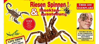 Organisateur de Insectophobie Riesen Spinnen & Insekten Ausstellung