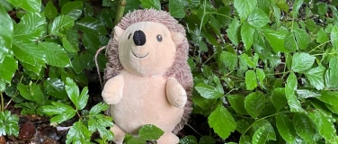 Event-Image for 'VTN Familienwaldtag'