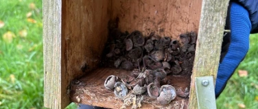 Event-Image for 'Nistkastenreinigung'