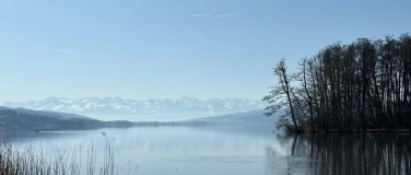 Event-Image for 'Kräuterspaziergang im Frühling in Seengen'