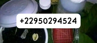 Veranstalter:in von +22950294524 retour affectif amoureux immédiat rapide en 24h