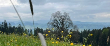 Event-Image for 'Aktive Sommerauszeit - 3 Wohlfühltage'