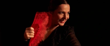 Event-Image for 'Flamenco-Show Escuela Sina de Alicia'