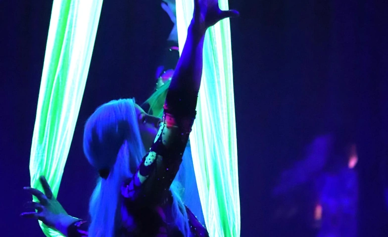 4. Emder Weihnachtscircus