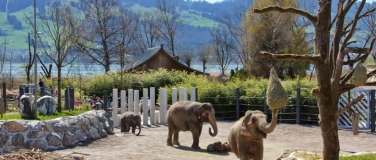 Event-Image for 'IPO - Alumni Familien Event'