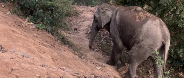 Event-Image for 'Chetti-Anlass: Tierarzt Andreas Kirchhoff'