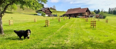 Event-Image for '1. August-Brunch auf dem Bauernhof Nauen'
