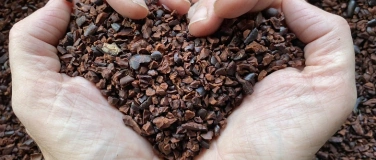 Event-Image for 'Schoggi-Workshop und Degustation'