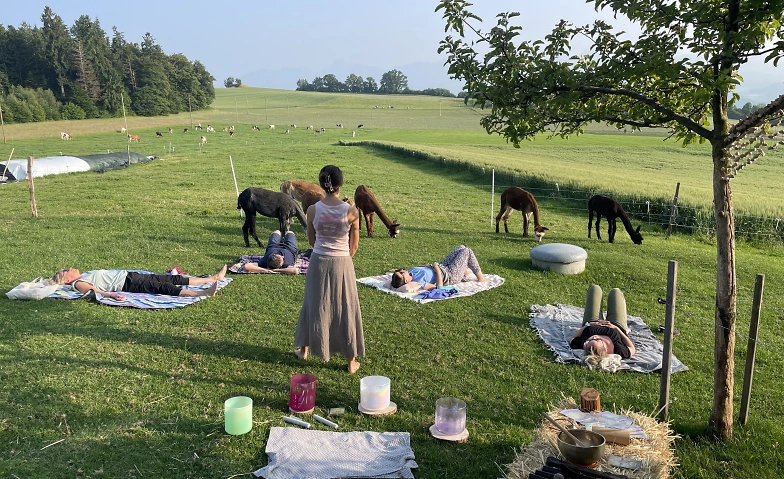 Event-Image for 'Klangreise mit Klangschalen und Alpakas'