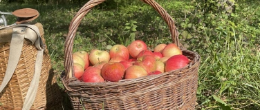 Event-Image for 'Familienanlass des Naturschutzvereins Bülach: Obstgarten'