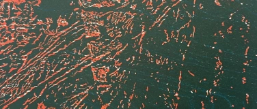 Event-Image for 'Kunstkurs Linolschnitt-Druckkurs'