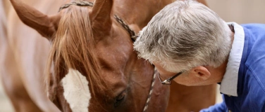 Event-Image for 'Leadership mit Pferden'