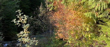 Event-Image for 'Wild - Tavolata "Wine&Dine"'