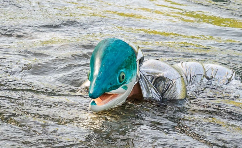 Event-Image for 'LACHS - Tanzperformance'