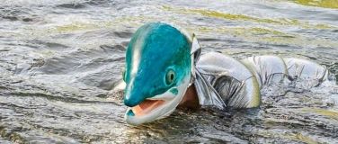 Event-Image for 'LACHS - Tanzperformance'