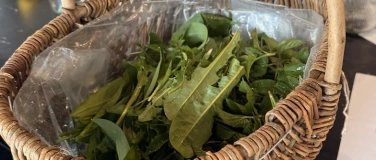 Event-Image for 'Erlebniskochkurs- &bdquo;Essbare Wildnis &bdquo;'