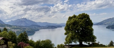 Event-Image for 'Achtsame "Natur-Auszeit" Shinrin Yoku Tagesseminar im Finel'