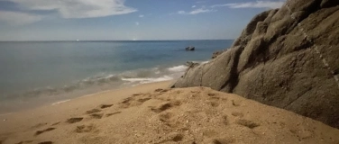 Event-Image for 'Campers Online Meditation'