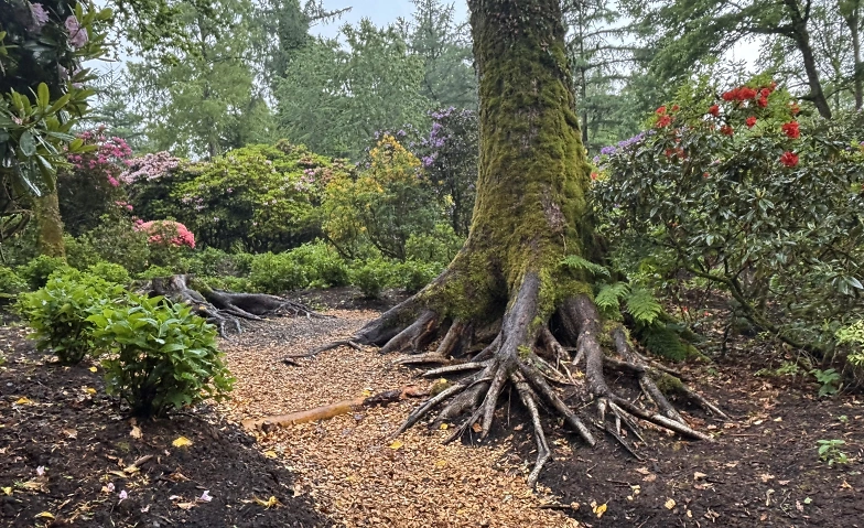 Event-Image for '"Gr&uuml;n-Pause" zur Gesundheitsf&ouml;rderung und Stresspr&auml;vention'
