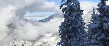 Event-Image for 'New Year Vision Walk'