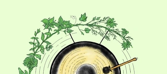 Veranstalter:in von Fr&uuml;lingserwachen Cacao und Gongbad