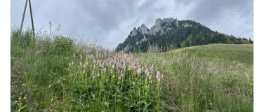 Event-Image for 'Baufrauen zeichnen & reflektieren'
