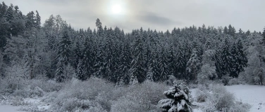 Event-Image for 'Von kalten Tagen und rau(h)en Nächten - Märchen für Erwachse'