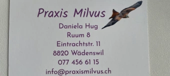 Veranstalter:in von MANTRA CHANTING & JEWEL DANCE mit DECHEN