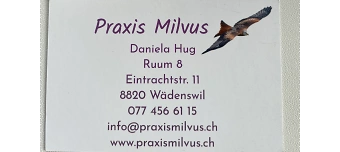 Veranstalter:in von Schamanische Meditationen