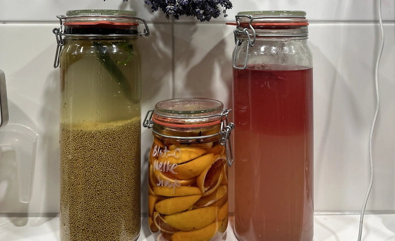 FERMENTATION für Anfäger:innen KURS (Kopie) Botanica Kulinarik Studio, Otto-von-Guericke-Straße 66, 39104 Magdeburg Billets