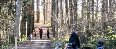 Event-Image for 'Waldbegehung Hagenbuechund Achslenwald'